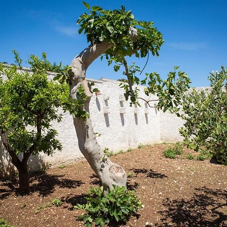 Suite San Giorgio Torre A Mare Dış mekan fotoğraf